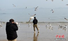 山东烟台：游客海边乐享